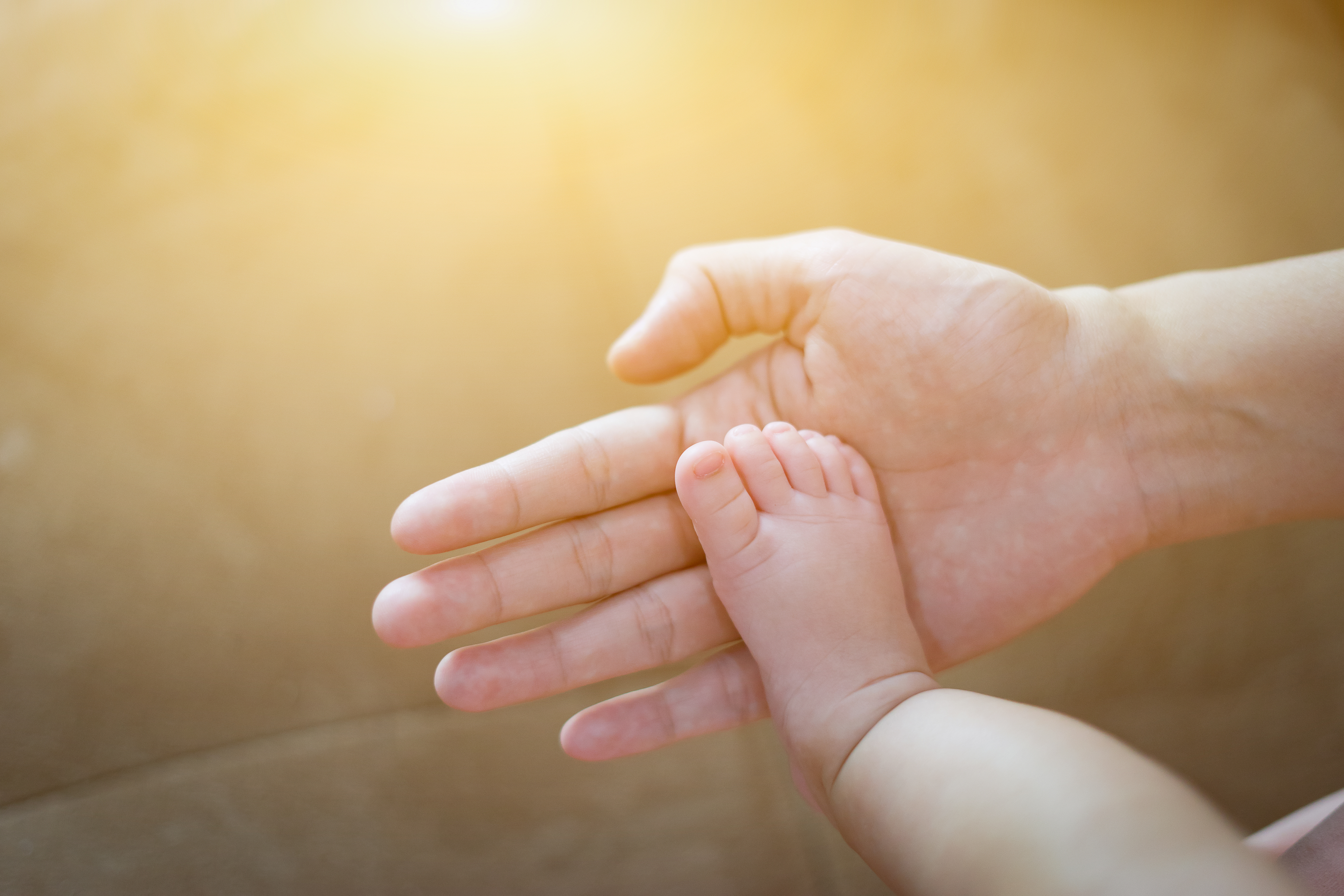 Baby feet in mother hands. Tiny Newborn Baby's feets,Mom and her Child. Happy Family concept. Beautiful conceptual image ,vintage color selective focus Place baby in Florida