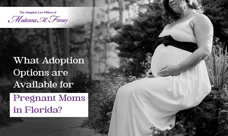 Pregnant Mom's Adoption Options Pregnant Mom's Adoption Options
