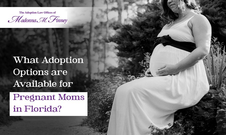 Pregnant Mom's Adoption Options Pregnant Mom's Adoption Options