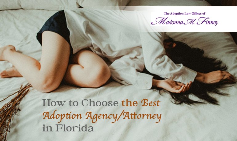 Adoption Agency Adoption Agency