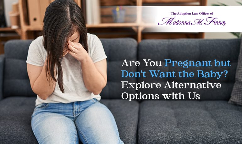 Pregnant but Don't Want the Baby Pregnant but Don't Want the Baby