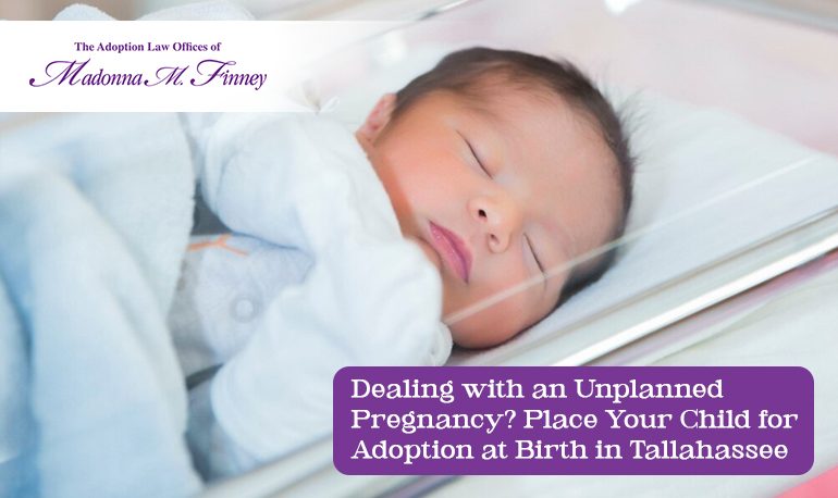 adoption at birth in Tallahassee adoption at birth in Tallahassee
