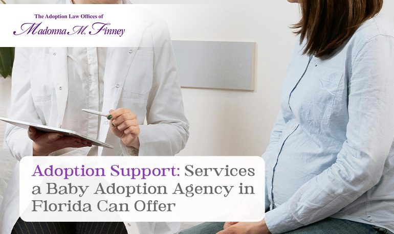 baby adoption agency in Florida baby adoption agency in Florida